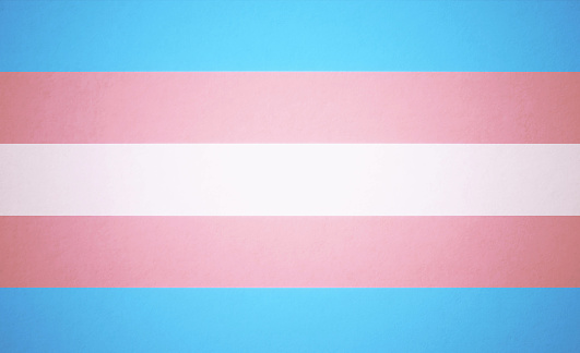 Flat transgender flag. Horizontal composition with copy space. Directly above. Transgender pride flag concept.