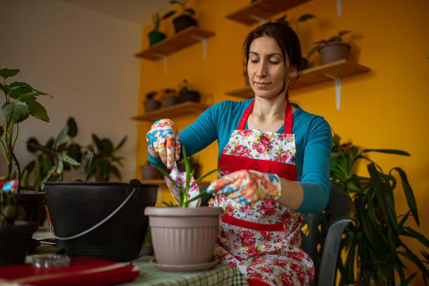 istock Young florist enjoys her plants 1313421895