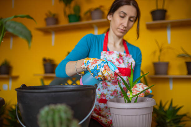 istock Flower gardening during at home 1313421924