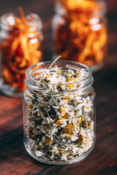 istock Dried Flowers on Rustic Wooden Background 1313422931