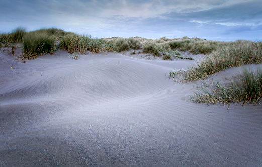 Northern seascape, sand dunes and grass, path to the sea, pastel landscape.