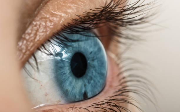 istock Woman eye close-up. 1313424115