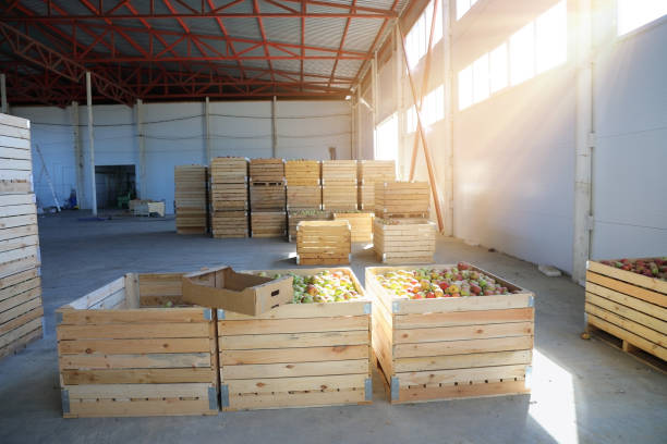 istock Large distribution warehouse with crates full of fresh apples 1313427567