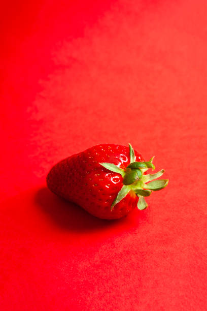 strawberry isolated on a red background with Copy space.