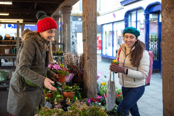 istock We Have a Beautiful Selection of Flowers Here 1313429081