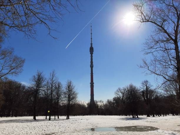 istock TV tower in the park 1313430930