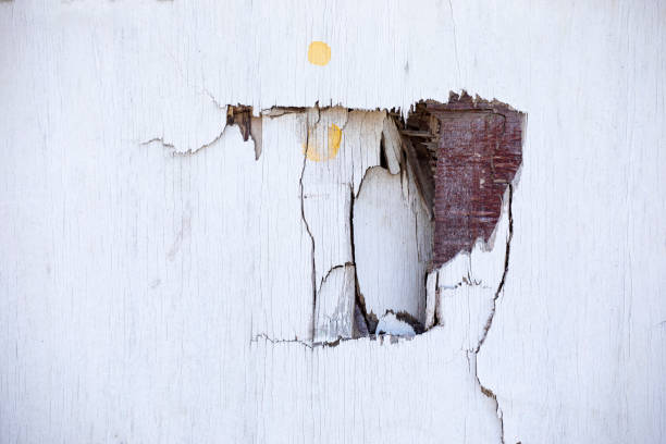 istock Damaged wooden fence, painted white 1313430987