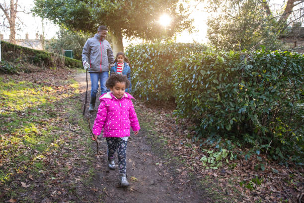 istock Walks in the Woods 1313431792