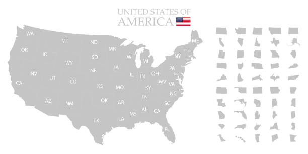 ilustraciones, imágenes clip art, dibujos animados e iconos de stock de territorio de los estados unidos. américa del norte. ilustración vectorial. eps 10 - mapa de los estados unidos y la bandera estadounidense