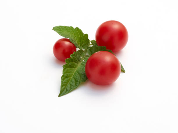 istock A close up of three cherry tomatoes and a leaf on white 1313433333