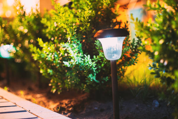 istock Close View Of Energy-Saving Solar Powered Lantern Glowing White Light In Garden. Backlighted Garden Plants 1313435290