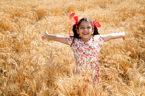 Harvest fresh herbs. Little girl collecting chamomile flowers in field, carefree and happy.