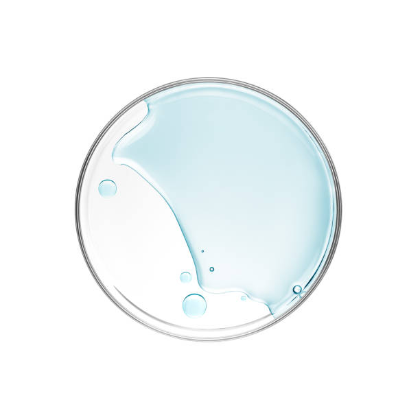 istock Liquid in petri dish over white background - flat lay 1313439053