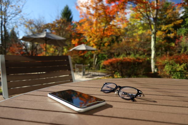 beatiful autumn garden with smart phone and glasses beautiful autumn garden with smart phone and glasses
in Karuizawa, Japan fall picnic table stock pictures, royalty-free photos & images
