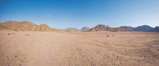 istock Barren rocky desert landscape in hot climate 1313441333