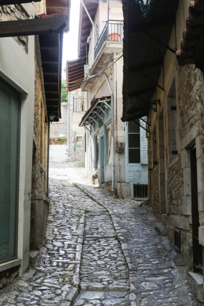istock The Karytaina village 1313442271
