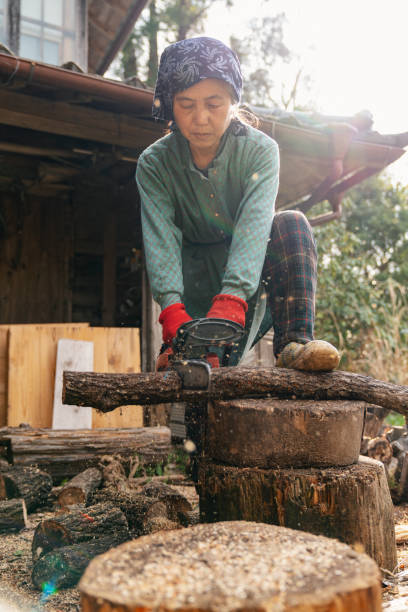istock Senior woman cutting logs with a chainsaw 1313443670