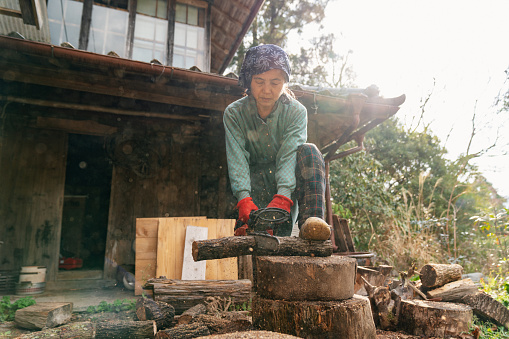 Senior woman cutting logs with a chainsaw. Kamikatsu, Japan.