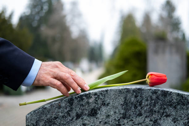 Cemetery Red flower on tombstone at cemetery tombstone stock pictures, royalty-free photos & images