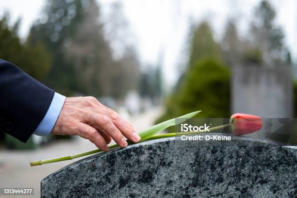 Cemetery Stock Photo - Download Image Now - Funeral, Tombstone, Cemetery