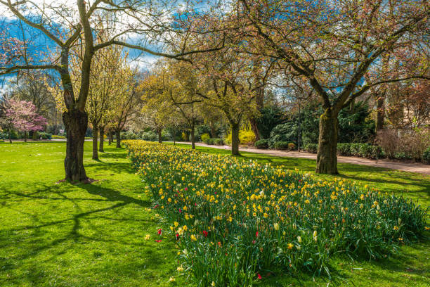 istock Beautiful Garden with blooming trees during spring time 1313444343