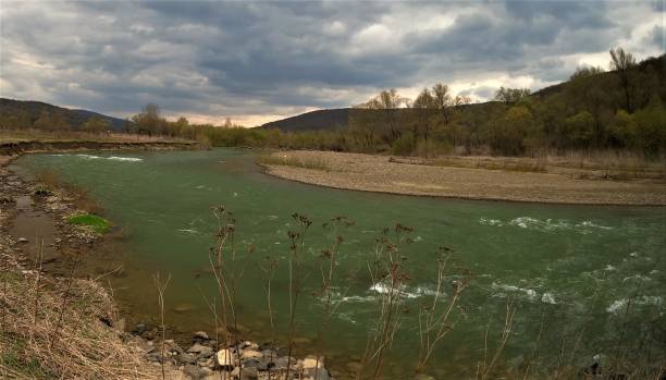 istock Full-flowing mountain river n the Carpathian Mountains 1313445904