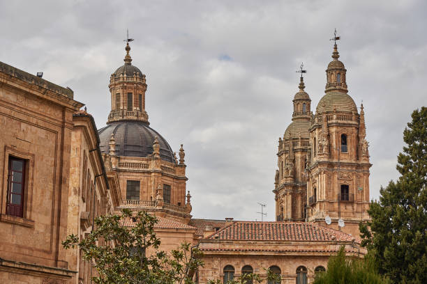 istock Beautiful afternoon on Salamanca 1313446933