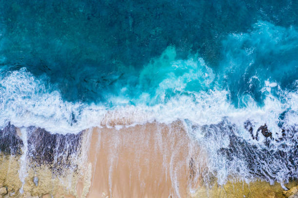 Peaceful Tropical Beach Shoreline with Gentle Ocean Waves with foam