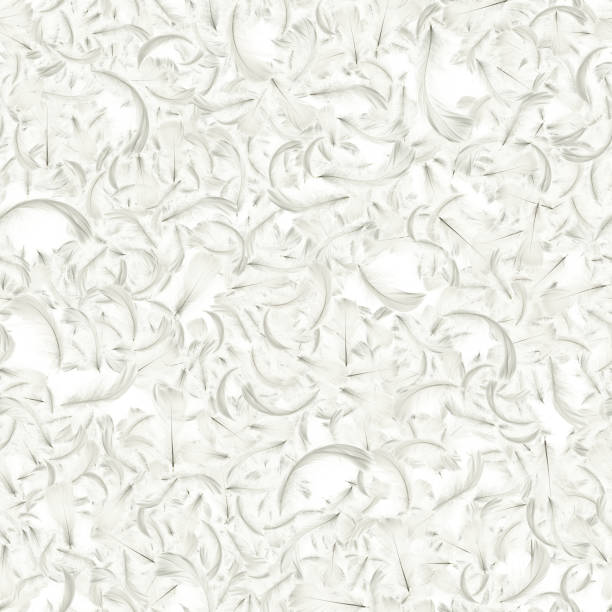 istock Feather falling. Nature abstract bird feather texture closeup falling on white background for seamless pattern wallpaper. Glamorous sophisticated airy artistic image isolated on white. 1313453352