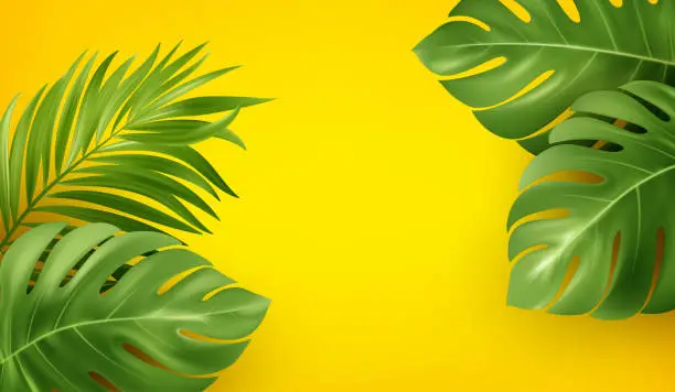 Vector illustration of Bright yellow summer background with tropical realistic monstera and palm leaves. Background design for advertising leaflet, banner, flyer. Vector illustration