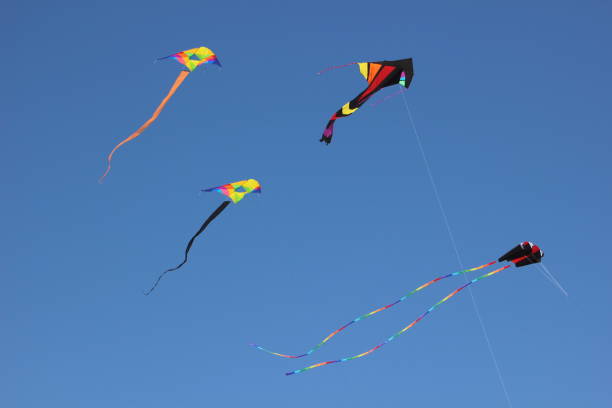 istock Traditional Kite Festival 1313453457
