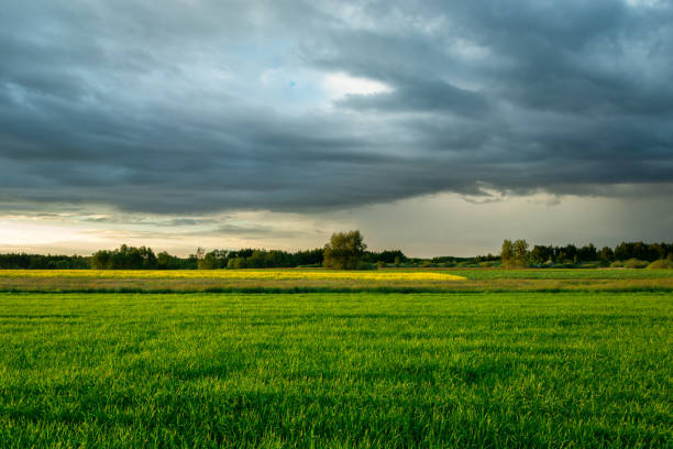istock Dark rainy clouds over the green field 1313454421