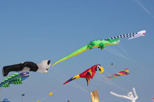 istock Traditional Kite Festival 1313454523