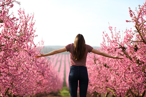 Woman outstretching arms in a pink field in spring