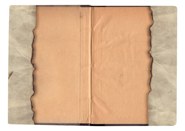 istock Old vintage rough texture retro paper with stains and scratches background 1313459931