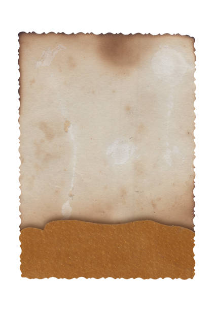istock Old vintage paper background with natural leather texture 1313459971