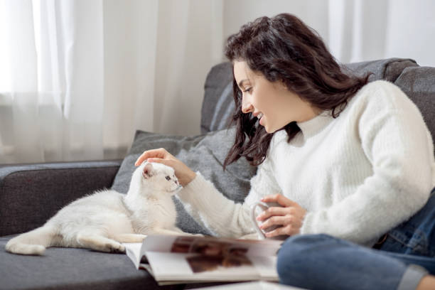 istock A woman resting at home, reading magazines and stroking her cat 1313460802