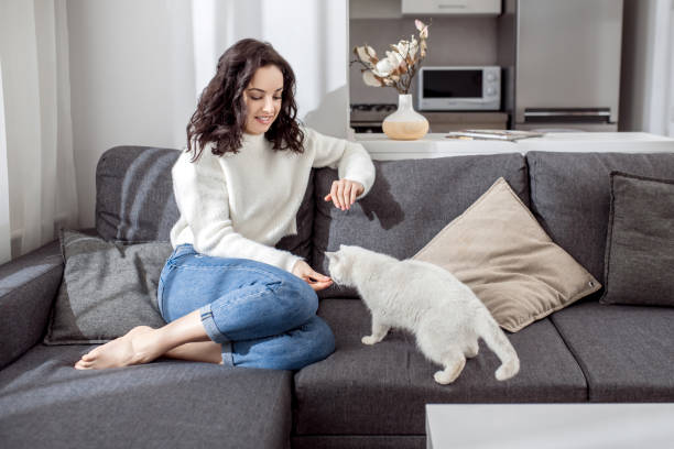 istock Pretty young woman playing with her cat and looking peaceful 1313460810