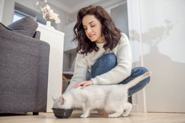 istock Dark-haired lovely woman feeding her white cat 1313461495