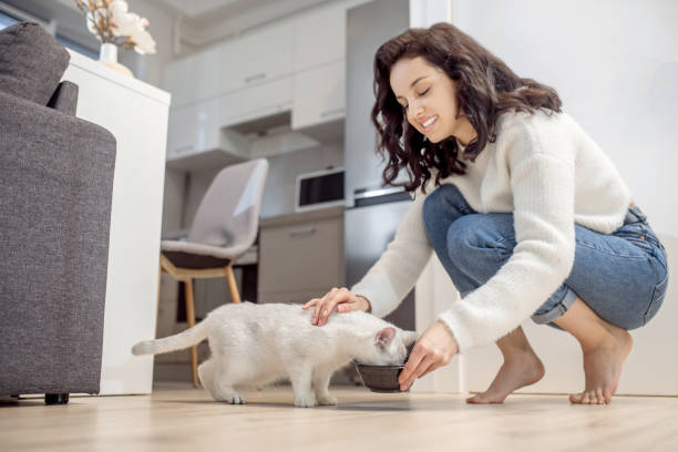istock Dark-haired lovely woman feeding her white cat 1313461500
