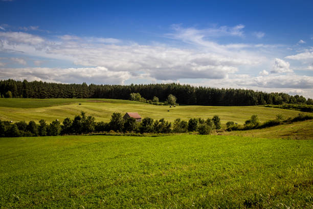 grass field landscape blue sky quebec canada