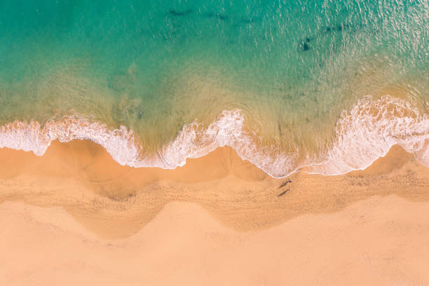 istock Aerial top down view of Atlantic Ocean coast 1313468757