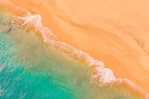 istock Aerial top down view of Atlantic Ocean coast 1313468766