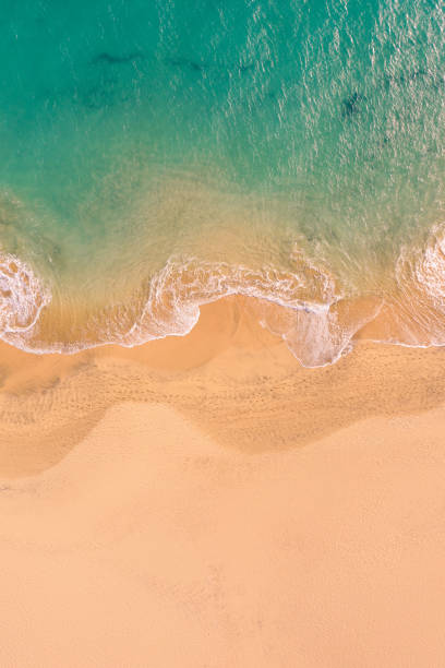istock Aerial top down view of Atlantic Ocean coast 1313468788