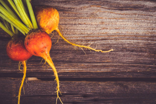 golden beets freshly harvested  raw on rustic wood background - golden beet fotos imagens e fotografias de stock