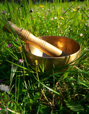Beautiful photo of a singing bowl placed in the grass