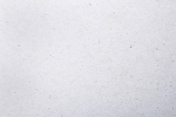istock wite color paper shown grain details on it's surface 1313470620