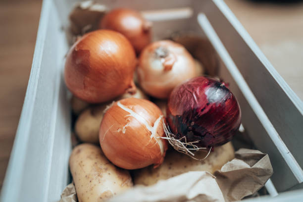 basket of onion, potato and garlic basket of onion, potato and garlic onion family stock pictures, royalty-free photos & images