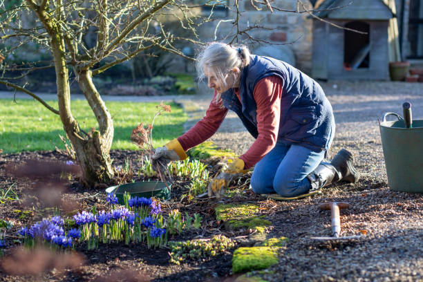 istock Mature Woman Gardening 1313471681