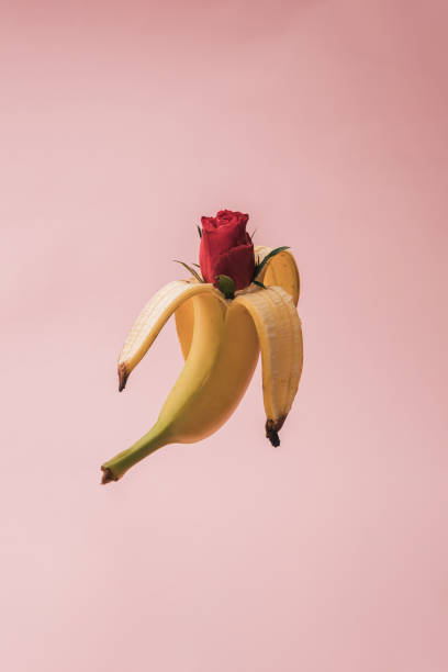 istock Banana rose on pink background. Idea concept. 1313472281